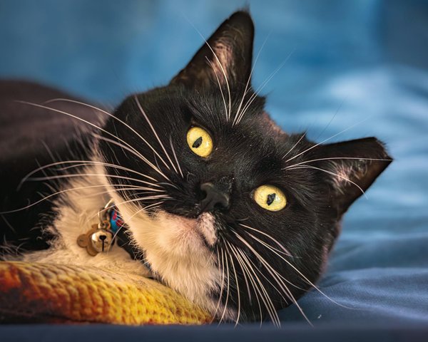 Welke rol speelt voeding in een veelzijdig sportregime?